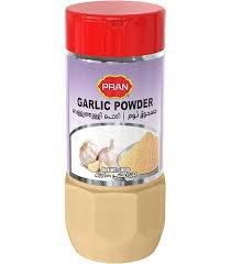 PRAN GARLIC POWDER 100G