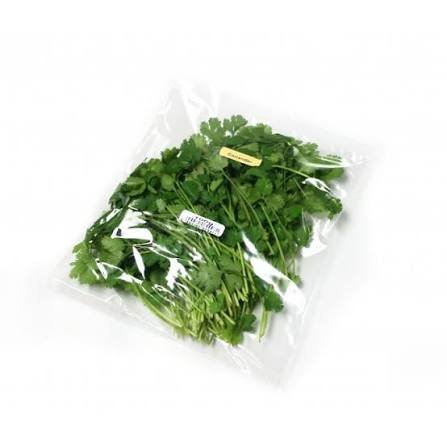 FRESH CORRIANDER PACKET