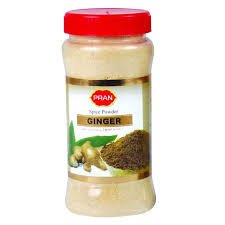 PRAN GINGER POWDER 100g