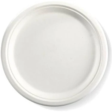 10" Dinner Plates - 10pcs