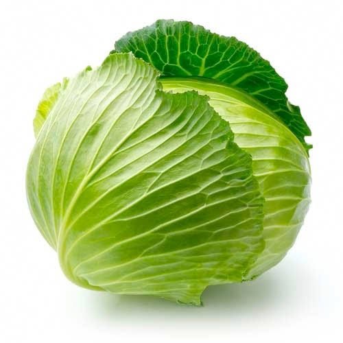 Cabbage Green