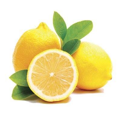 Lemons Meyer Med