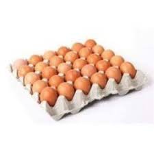 EGGS 30's size-6