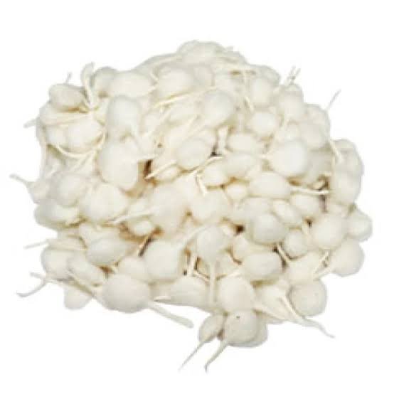 COTTON ROUND WICK BIG