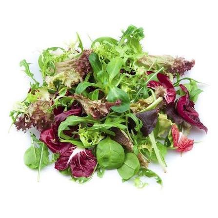 Salad Mix Leaves