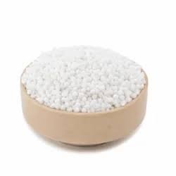 Sago Big kg