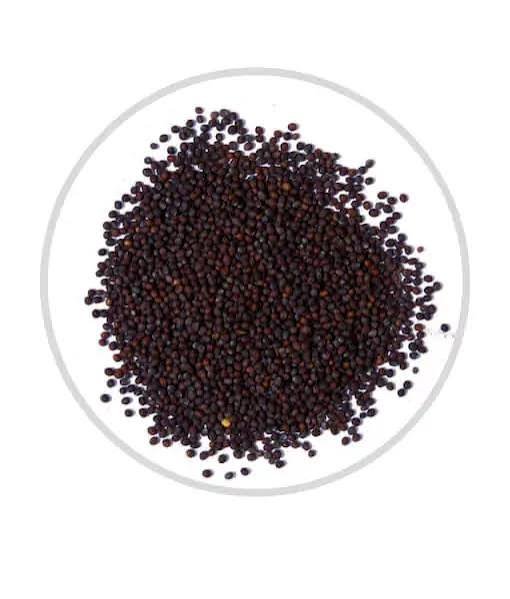 Mustard Seeds Big kg