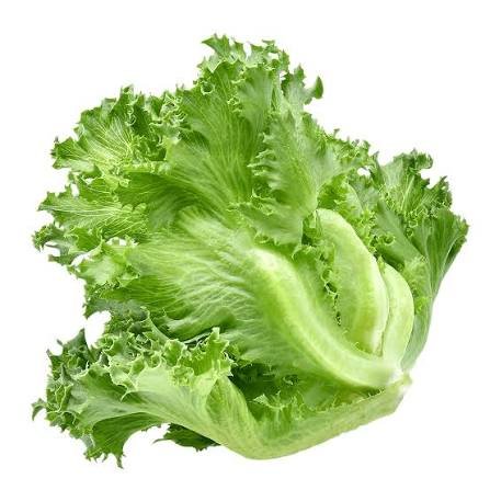 Lettuce
