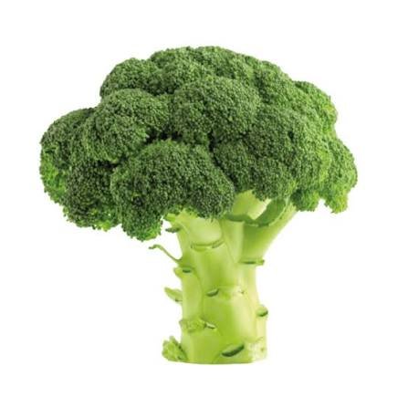 Broccoli (EA)