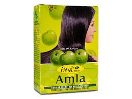 HESH AMLA POWDER 100GM