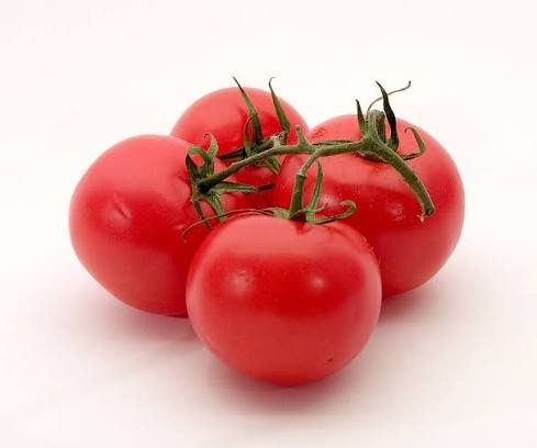 TOMATO KG