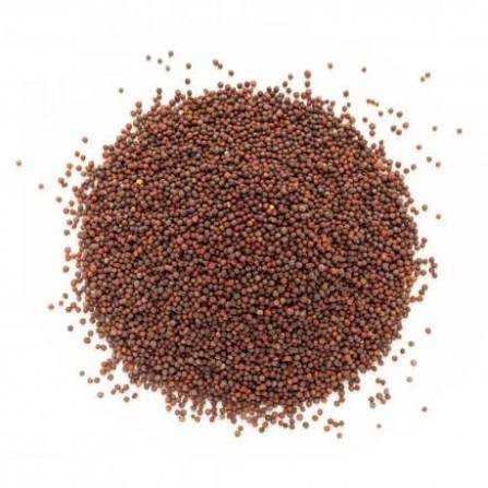 Mustard Seeds Small kg