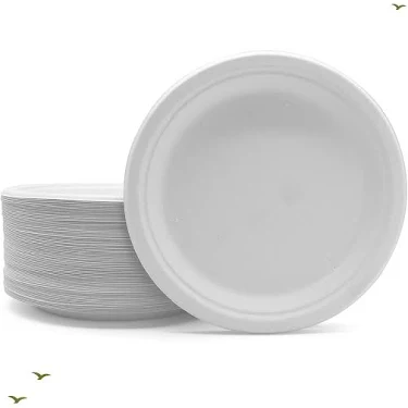 9" Dinner Plates - 10pcs