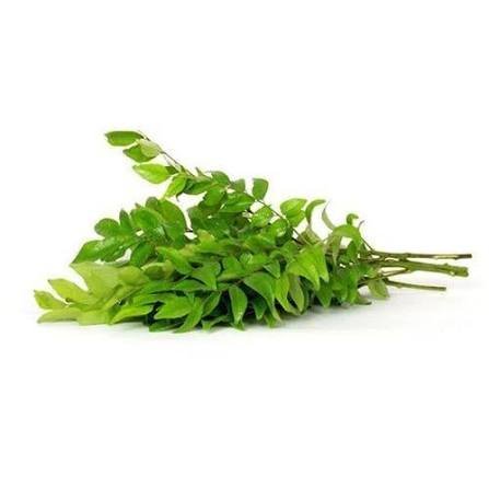 CURRY LEAVES PACKET