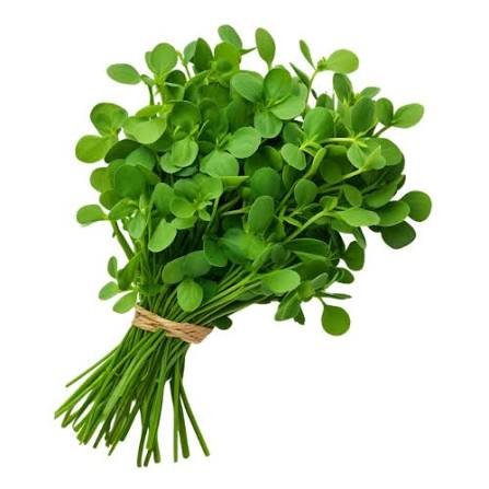 Methi (bunch)