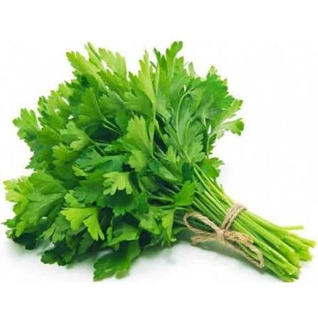 Coriander bunch